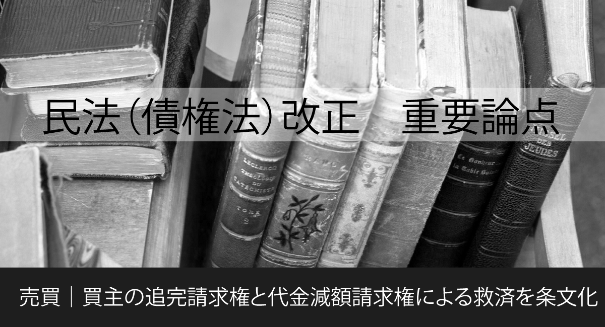 売買・請負における履行・追完義務/成文堂/原田剛（単行本） 債権総論講義｜法律｜民法｜分類一覧｜成文堂